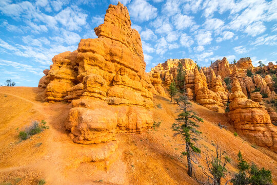 View of hoodoos at Red Canyon in Dixie National Forest