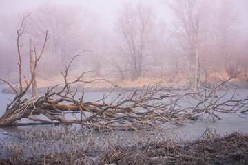 Frosty and foggy fall morning on the water