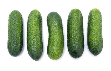 Fresh green bumpy cucumbers in a row. Five bumpy pickling cucumbers arranged in a row on white backround.