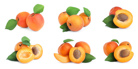Set of fresh apricots on white background. Banner design