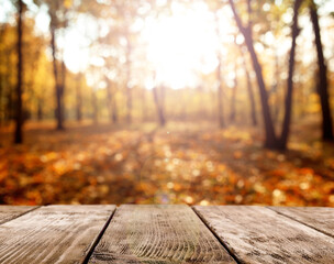 Naklejka na ściany i meble Empty wooden table in autumn park on sunny day