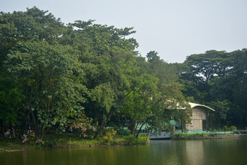 Fototapeta na wymiar Ninoy Aquino parks and wildlife water lagoon in Quezon City, Philippines