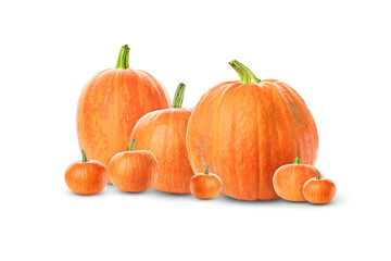 Many fresh ripe pumpkins isolated on white