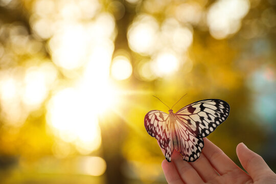 Woman holding beautiful rice paper butterfly outdoors on sunny day, closeup. Bokeh effect