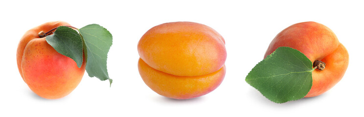 Set of whole fresh apricots on white background. Banner design