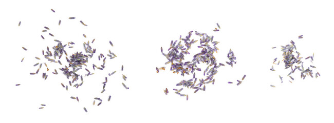 Set with heaps of lavender flowers on white background. Banner design