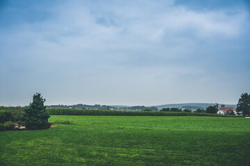 Fototapeta na wymiar Meadow, field with houses in the background. Rural scenery