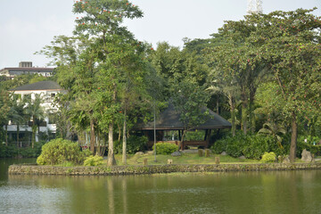 Fototapeta na wymiar Ninoy Aquino parks and wildlife water lagoon in Quezon City, Philippines