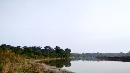lake and forest with river