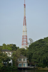 Ninoy Aquino parks and wildlife water lagoon in Quezon City, Philippines