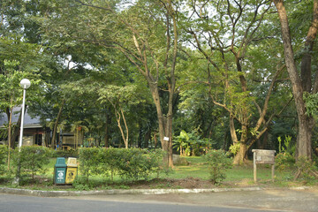 Ninoy Aquino parks and wildlife surrounding trees in Quezon City, Philippines