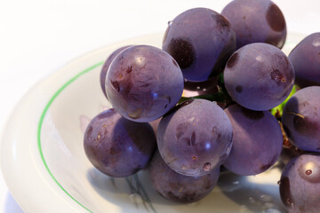 ”きょほう”　おいしいブドウの種類の一つ