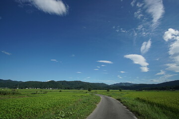 Typical landscape in countryside of Japan, Northern Alps, Hakuba