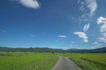 Typical landscape in countryside of Japan, Northern Alps, Hakuba