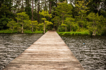 Naklejka premium Pier at Singletary Lake