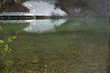 Beautiful forest and nature in countryside. Hakuba, Japan