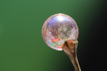 moments that inspire you with color and life, shade and inanimate things