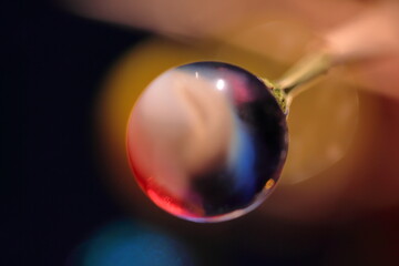 moments that inspire you with color and life, shade and inanimate things