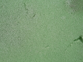 old green sponge texture background.