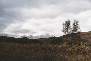Panoramic view of the shores, hills and valleys of Jura island. Cloudy blue sky. Stormy weather....