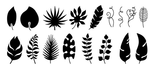 Exotic leaves black silhouette set. Tropical foliage, monochrome plants. Palm, branches and wild leaf collection. Hawaiian hand drawn jungle. Vector illustration on white background