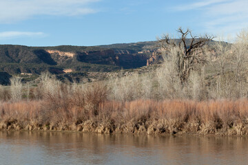 Landscape with Canyons