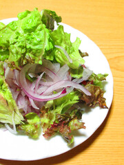 サニーレタスと赤たまねぎのサラダ