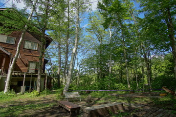 A wooden house in forest in Spring, Summer in countryside of Japan