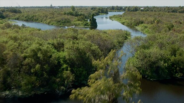 Flying low over trees as float plane taxis on waterway