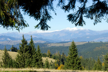 Beautiful morning landscape on the way to Transfagarasan road with forest in Romania, Carpathian mountains in autumn,aerial view from the top on valley,image for calendar,poster,cover design,postcard