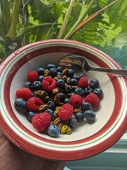 Bowl containing raspberries, blueberries, and pistachios.