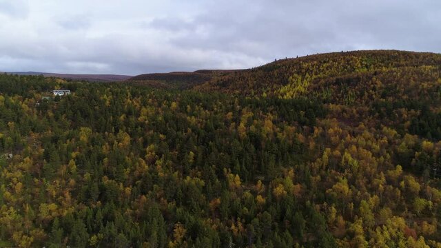 Aerial view over autumn color forest, revealing the road 970 and the Tenojoki river, at the Finland-Norway border, gloomy, overcast, fall day, near Utsjoki, in Lapland - Rising, drone shot
