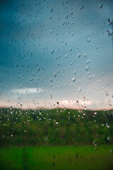 rain drops on window