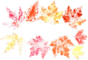 frame of autumn yellow red maple leaves on a white background, graphic drawing, copy space