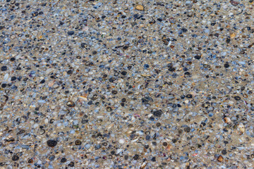 Background of the sea shells