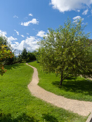 Fototapeta na wymiar The path in the garden park. Landscaping. Summer sunny day