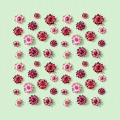 Natural dry flowers, small red blossom on soft green background. Floral design, greeting card