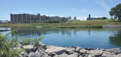 lake in the park