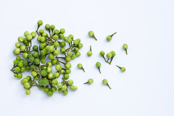 Turkey berry isolated on white background.