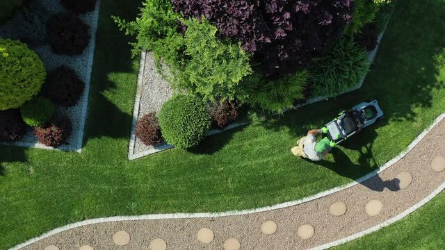 Freshly Mowed Rows Of Green Lawn At Beautiful Private Residence. Mature Landscape With Variety Of Plants And Curved Sidewalk In Middle. 
