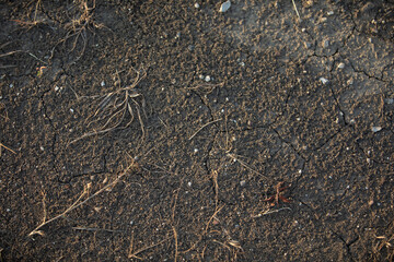 texture of the ground
