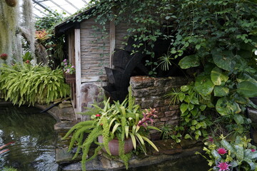 old house in the garden with rich plant life and vegetation