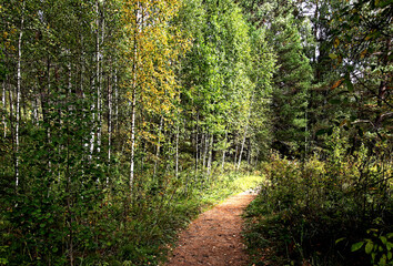 path in the park