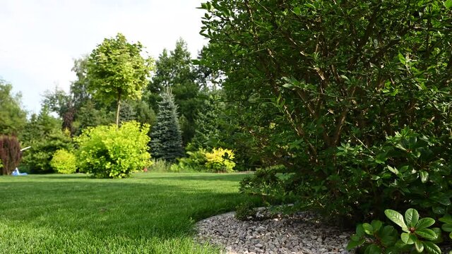 Green Vast Lawn With Perennial and Evergreen Trees And Bushes. Scenery Of Natural Landscape Design With Variety Of Plants At Residential Home. 