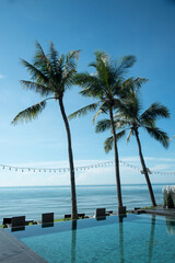 Obraz premium tropical beach with palm trees