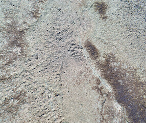 concrete surface with protruding small stones