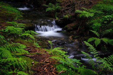 Small waterfall in the forest.