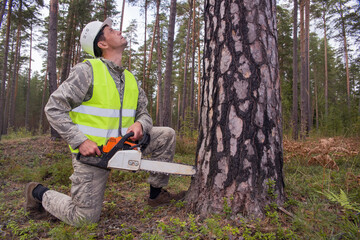 Obraz premium A forest worker with a chainsaw looks at a tree. A lumberjack prepares to cut down a thick tree. The concept of woods on the planet. Timber industry.