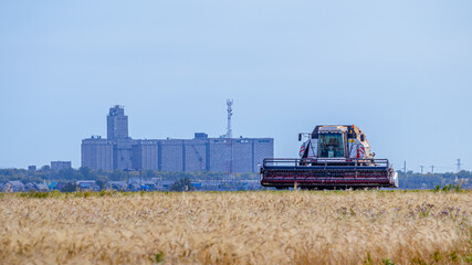 Harvesting equipment in wheat fields