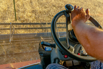 In the cab of a combine harvester during the wheat harvest